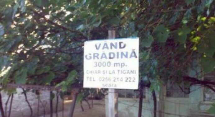 Vînd grădină… chiar şi la ţigani (în judeţul Timiş)