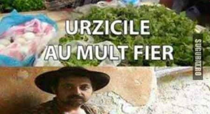 Urzicile au mult fier